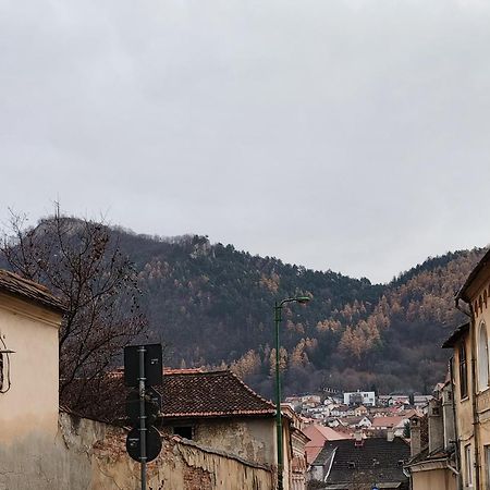 Golden Greens Studio - Mountain Scenery Brasov Ngoại thất bức ảnh