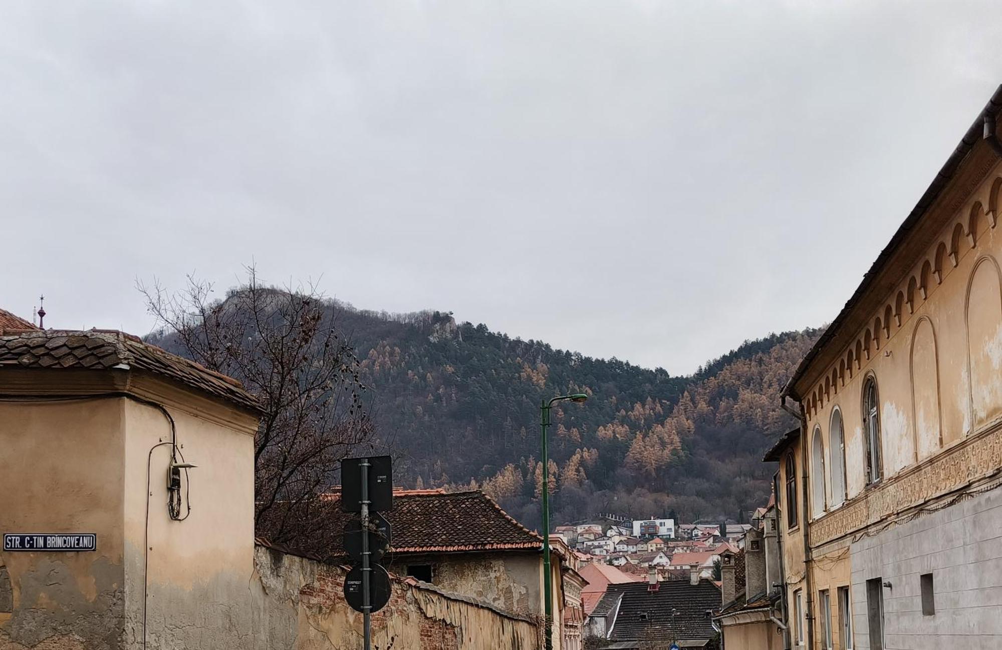 Golden Greens Studio - Mountain Scenery Brasov Ngoại thất bức ảnh